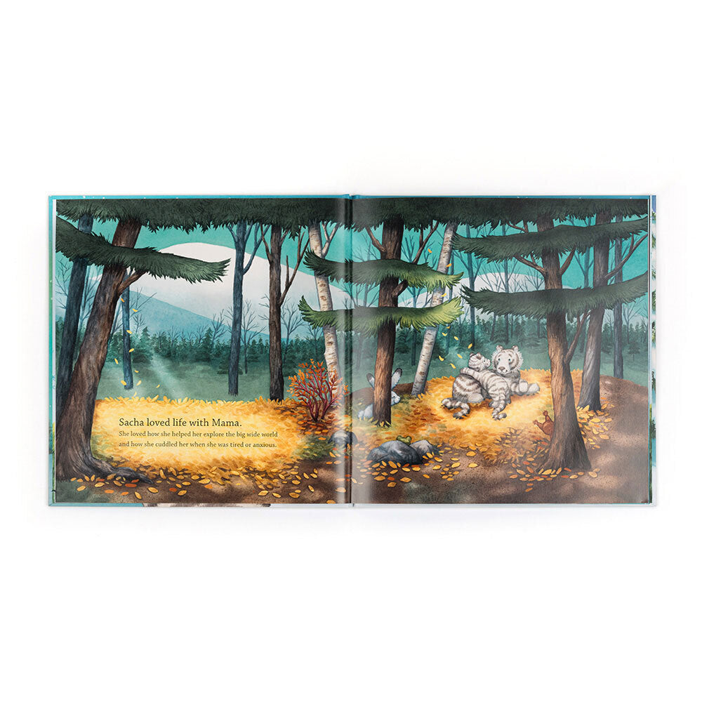 Sacha and the Most Wonderful Thing Book