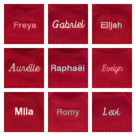 Bashful Giraffe with Personalized Red Jumper