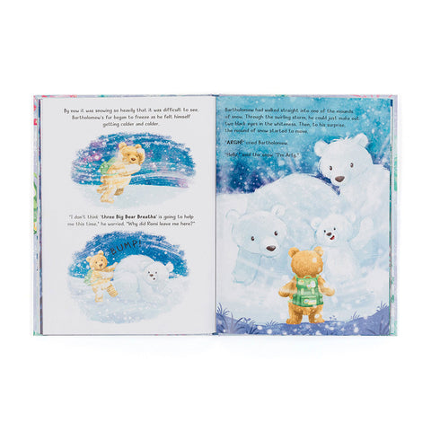 Bartholomew Bear and the Snow Giants Book and Bartholomew Bear Medium